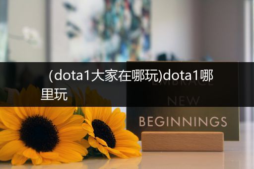 （dota1大家在哪玩)dota1哪里玩
