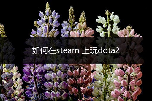 如何在steam 上玩dota2