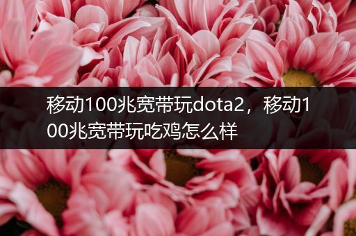 移动100兆宽带玩dota2，移动100兆宽带玩吃鸡怎么样