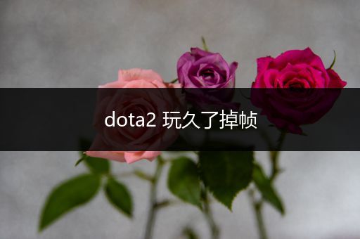 dota2 玩久了掉帧