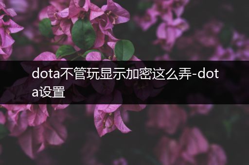 dota不管玩显示加密这么弄-dota设置