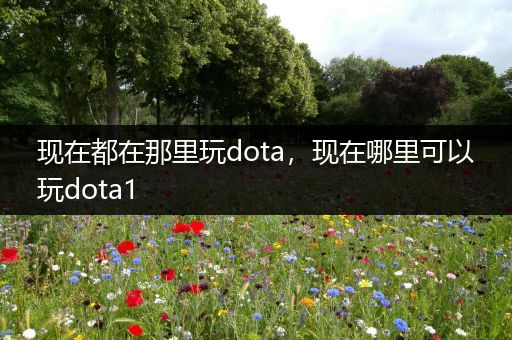 现在都在那里玩dota，现在哪里可以玩dota1