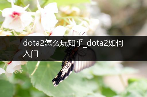 dota2怎么玩知乎_dota2如何入门