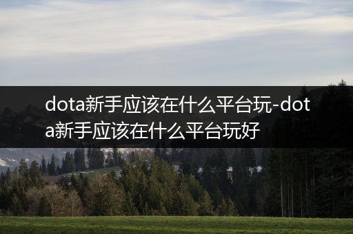 dota新手应该在什么平台玩-dota新手应该在什么平台玩好