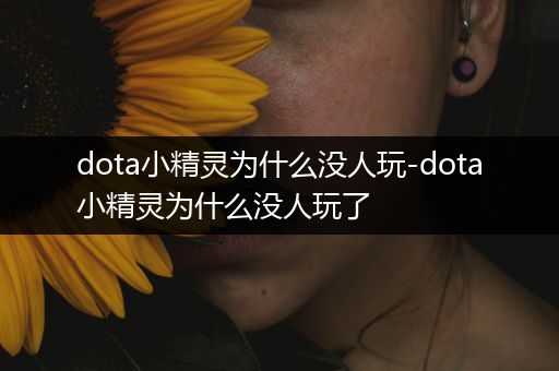 dota小精灵为什么没人玩-dota小精灵为什么没人玩了