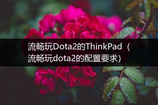 流畅玩Dota2的ThinkPad（流畅玩dota2的配置要求）