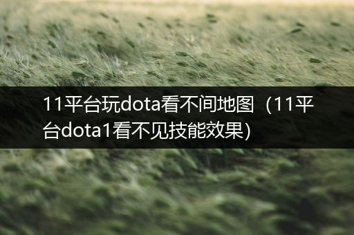 11平台玩dota看不间地图（11平台dota1看不见技能效果）