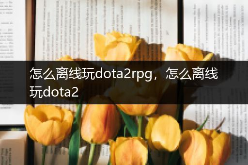 怎么离线玩dota2rpg，怎么离线玩dota2