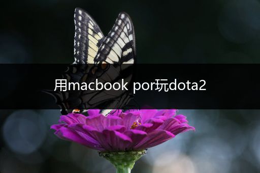 用macbook por玩dota2