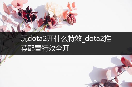 玩dota2开什么特效_dota2推荐配置特效全开