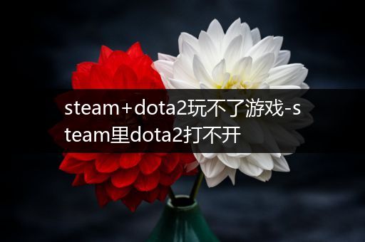 steam+dota2玩不了游戏-steam里dota2打不开