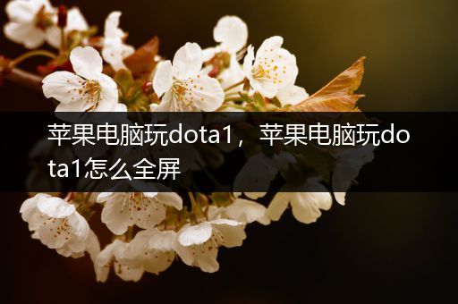 苹果电脑玩dota1，苹果电脑玩dota1怎么全屏