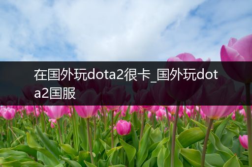 在国外玩dota2很卡_国外玩dota2国服