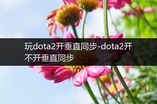 玩dota2开垂直同步-dota2开不开垂直同步