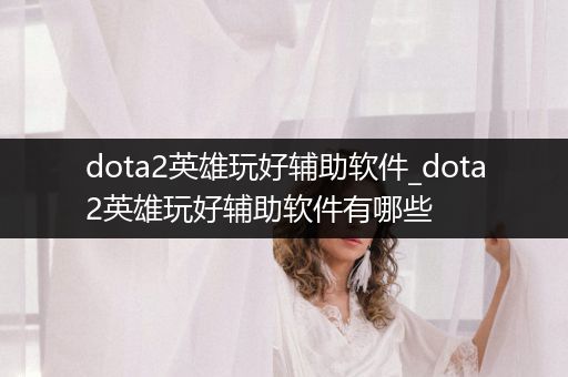 dota2英雄玩好辅助软件_dota2英雄玩好辅助软件有哪些