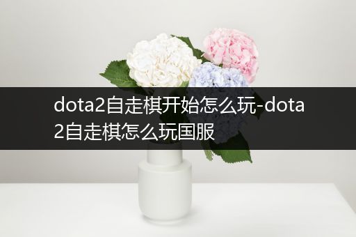 dota2自走棋开始怎么玩-dota2自走棋怎么玩国服