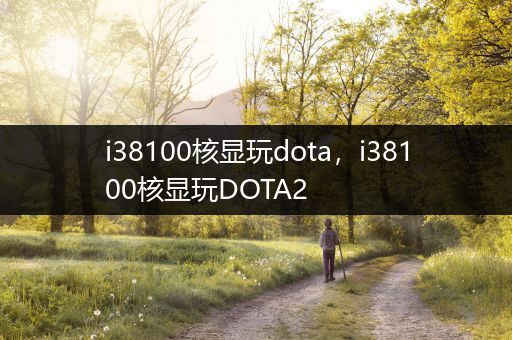 i38100核显玩dota，i38100核显玩DOTA2