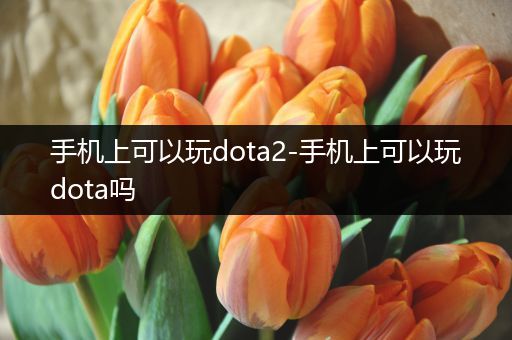 手机上可以玩dota2-手机上可以玩dota吗
