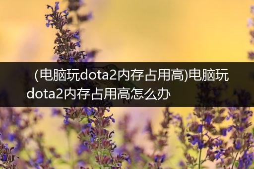 （电脑玩dota2内存占用高)电脑玩dota2内存占用高怎么办