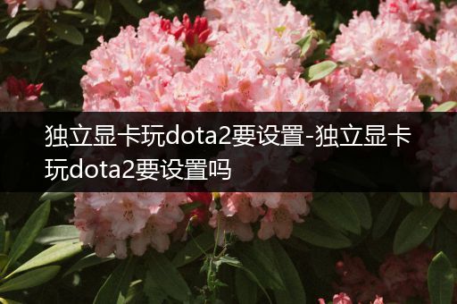 独立显卡玩dota2要设置-独立显卡玩dota2要设置吗