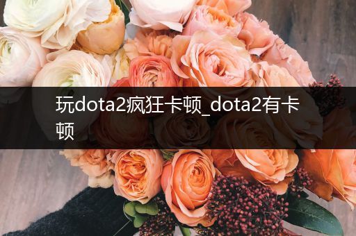 玩dota2疯狂卡顿_dota2有卡顿