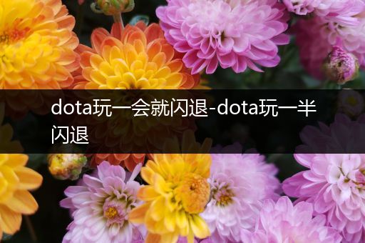 dota玩一会就闪退-dota玩一半闪退