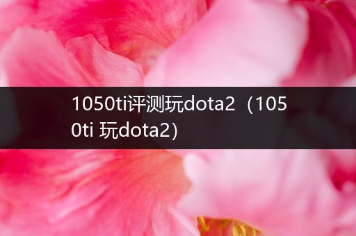 1050ti评测玩dota2（1050ti 玩dota2）