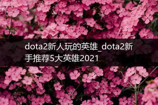 dota2新人玩的英雄_dota2新手推荐5大英雄2021