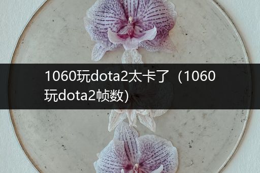 1060玩dota2太卡了（1060玩dota2帧数）