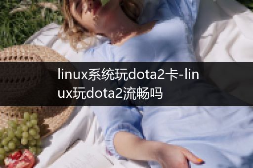 linux系统玩dota2卡-linux玩dota2流畅吗