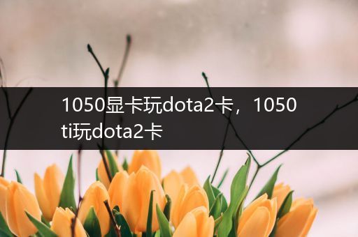 1050显卡玩dota2卡，1050ti玩dota2卡