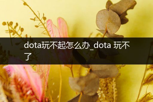 dota玩不起怎么办_dota 玩不了
