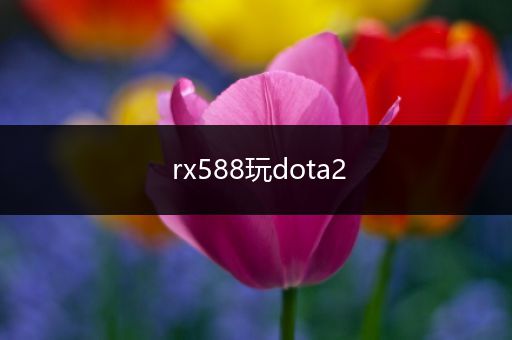 rx588玩dota2