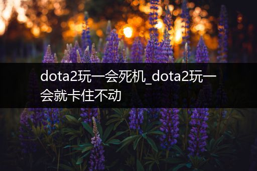 dota2玩一会死机_dota2玩一会就卡住不动