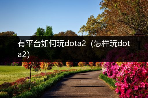 有平台如何玩dota2（怎样玩dota2）