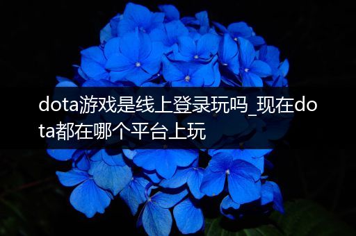 dota游戏是线上登录玩吗_现在dota都在哪个平台上玩