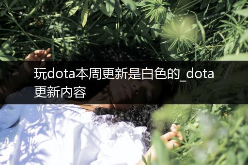 玩dota本周更新是白色的_dota更新内容