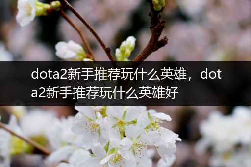 dota2新手推荐玩什么英雄，dota2新手推荐玩什么英雄好