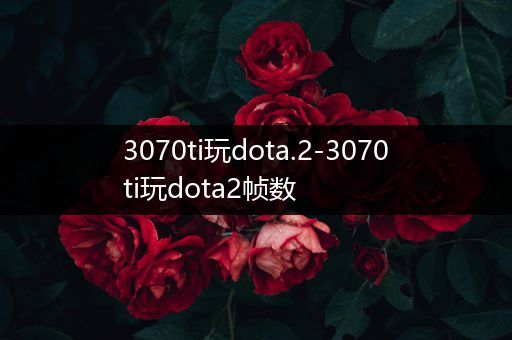 3070ti玩dota.2-3070ti玩dota2帧数