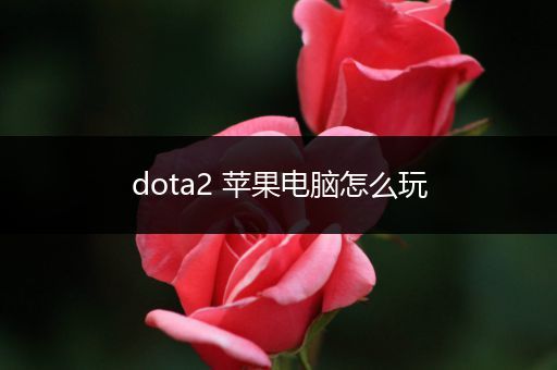 dota2 苹果电脑怎么玩