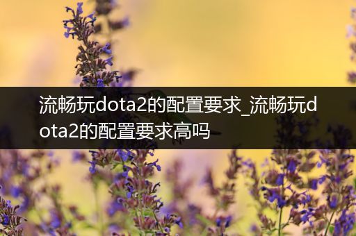 流畅玩dota2的配置要求_流畅玩dota2的配置要求高吗