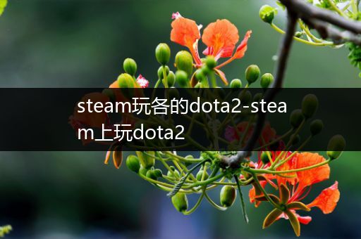 steam玩各的dota2-steam上玩dota2