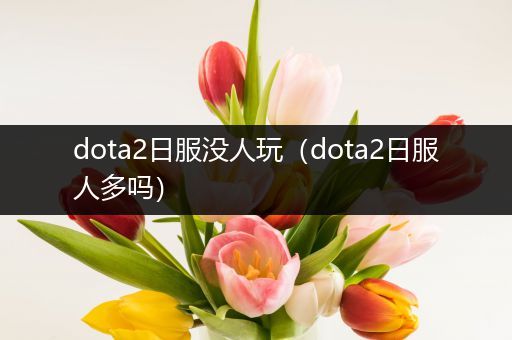 dota2日服没人玩（dota2日服人多吗）