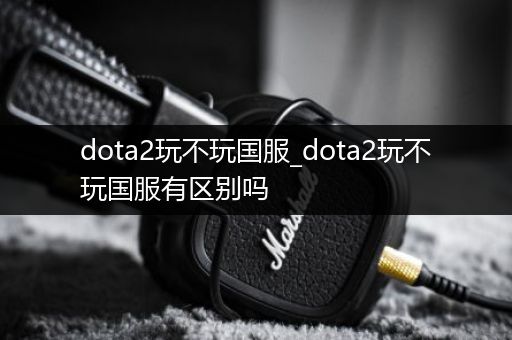 dota2玩不玩国服_dota2玩不玩国服有区别吗