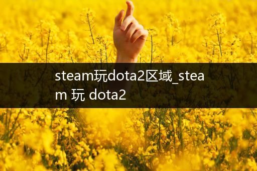 steam玩dota2区域_steam 玩 dota2