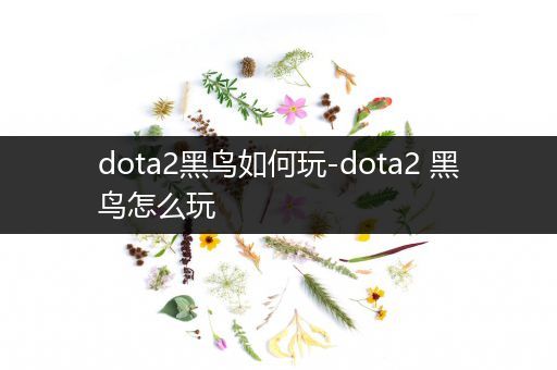 dota2黑鸟如何玩-dota2 黑鸟怎么玩