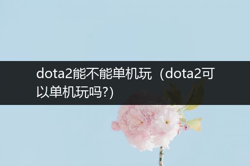 dota2能不能单机玩（dota2可以单机玩吗?）