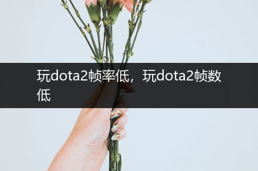 玩dota2帧率低，玩dota2帧数低