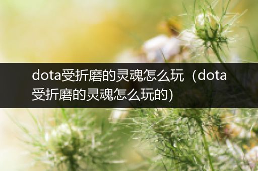 dota受折磨的灵魂怎么玩（dota受折磨的灵魂怎么玩的）