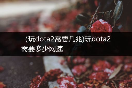 （玩dota2需要几兆)玩dota2需要多少网速